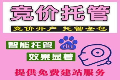 行业领先的SEM推广代运营公司案例集锦